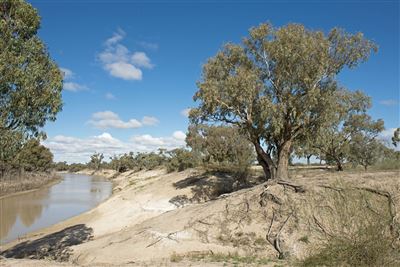 Darling River in Wilcannia